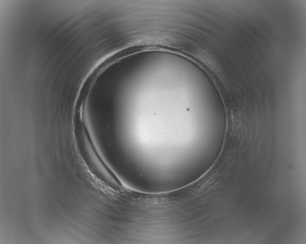 X0000054391020200508121627