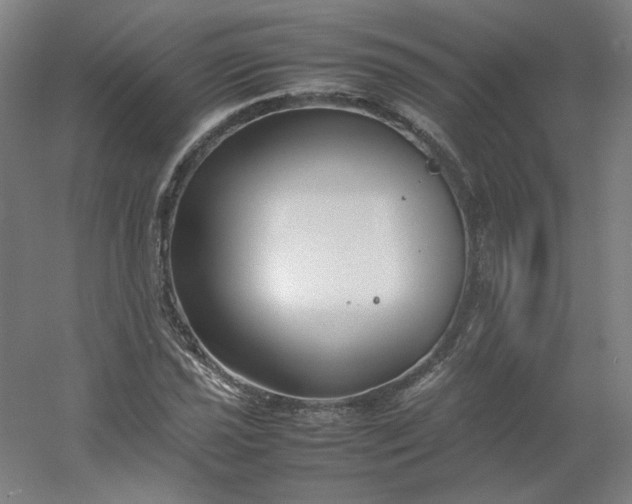 X0000054391021200508121627