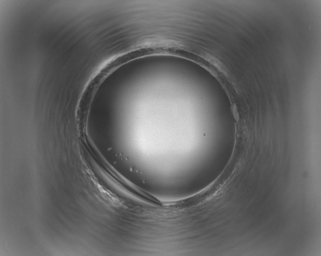 X0000054391022200508121627