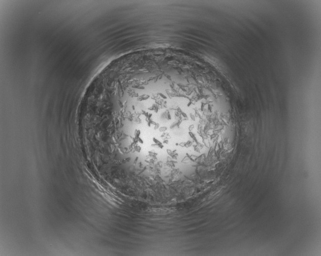 X0000054391023200508121627