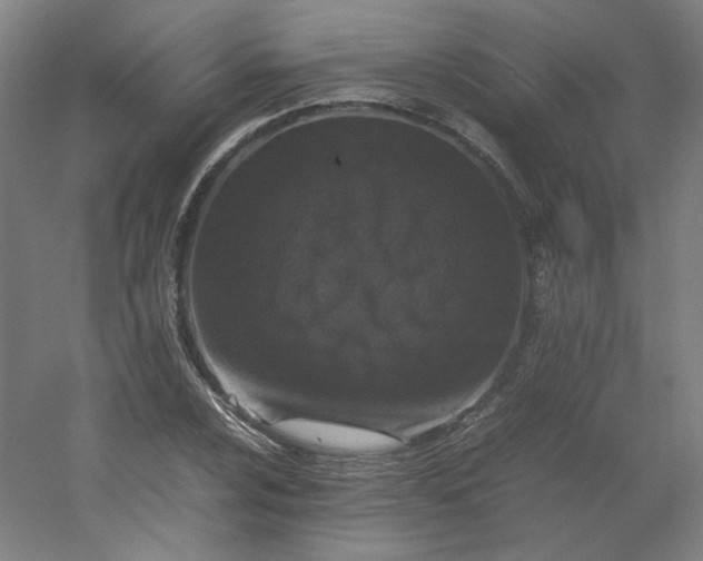 X0000054391024200508121627