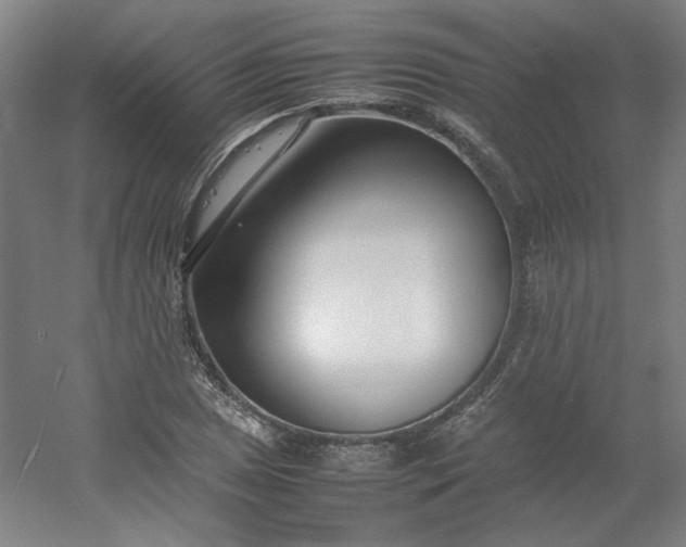 X0000054391025200508121627