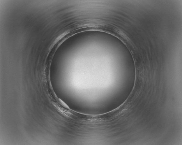 X0000054391026200508121627