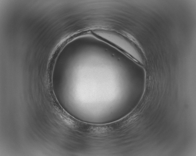 X0000054391027200508121627