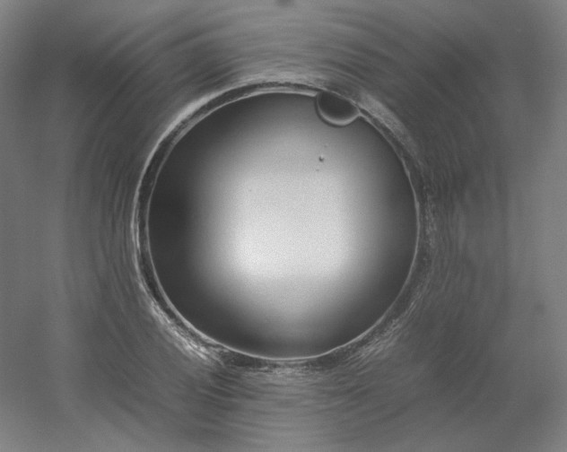 X0000054391028200508121627