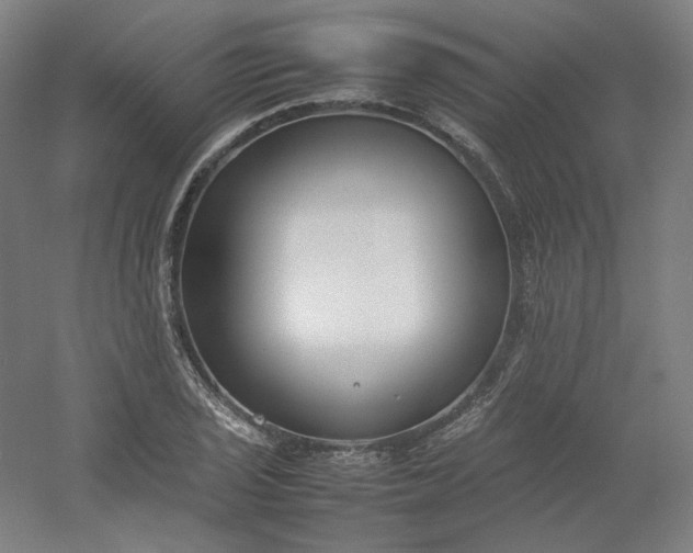 X0000054391029200508121627