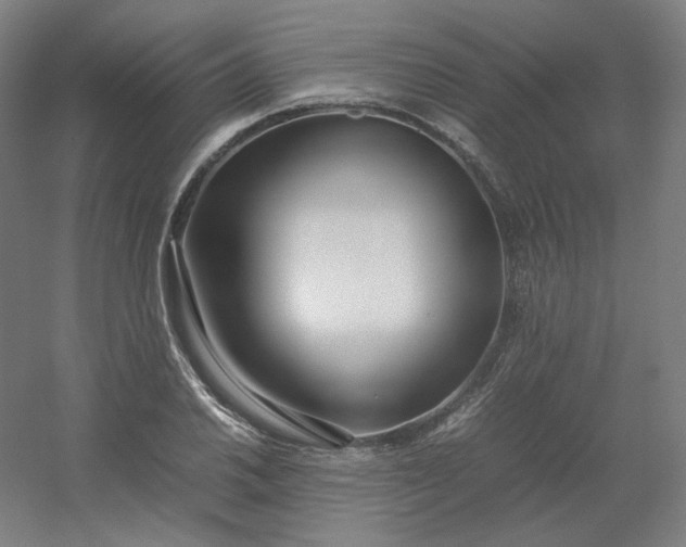 X0000054391030200508121627