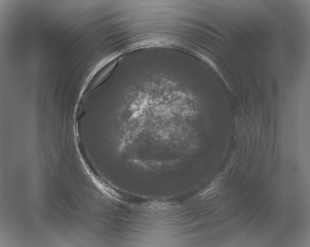 X0000054391034200508121627