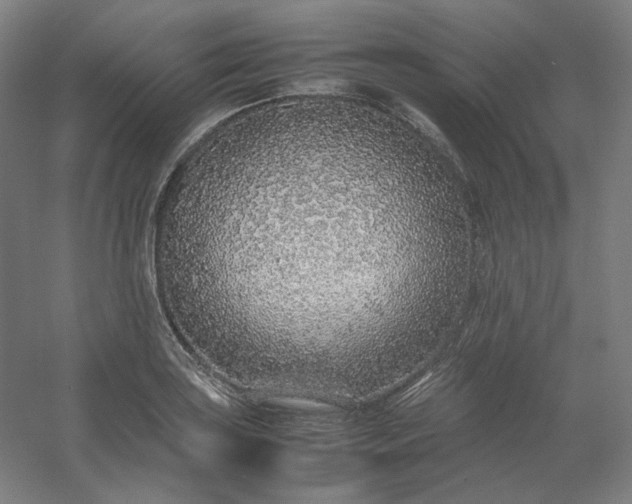 X0000054391035200508121627