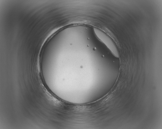 X0000054391036200508121627