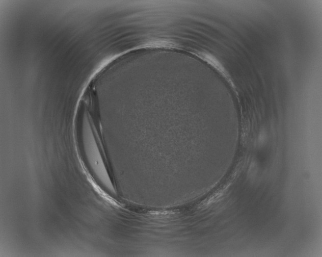 X0000054391037200508121627