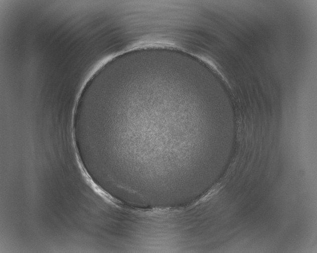 X0000054391038200508121627