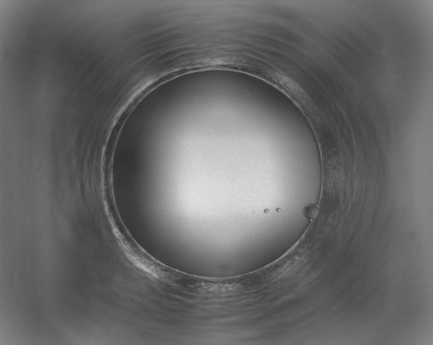 X0000054391039200508121627