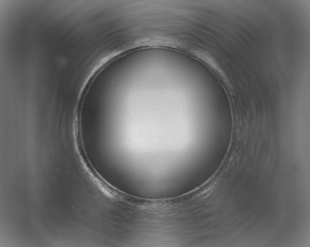 X0000054391040200508121627