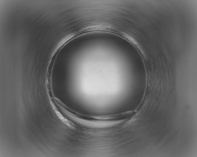 X0000054391042200508121627