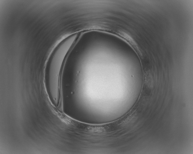 X0000054391043200508121627