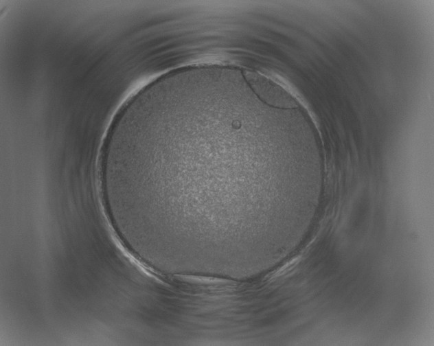 X0000054391045200508121627