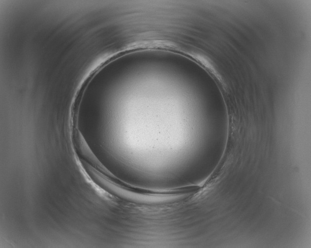 X0000054391046200508121627