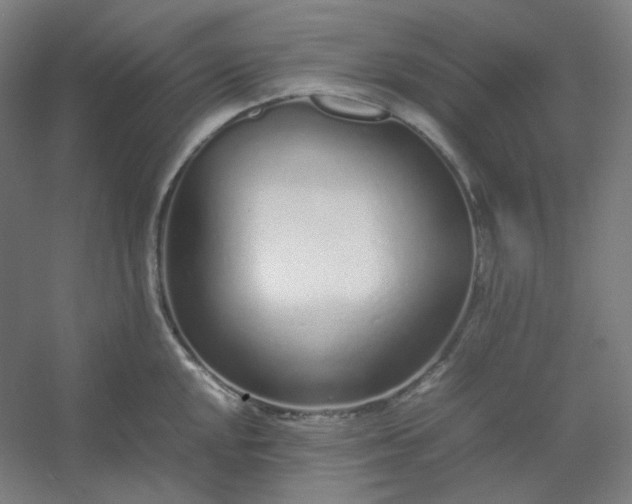 X0000054391048200508121627