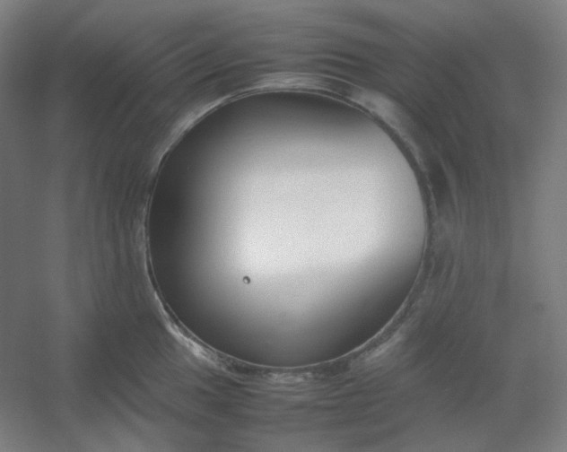 X0000054391049200508121627