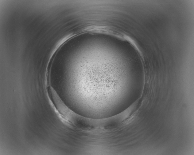 X0000054391050200508121627