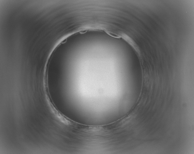 X0000054391052200508121627