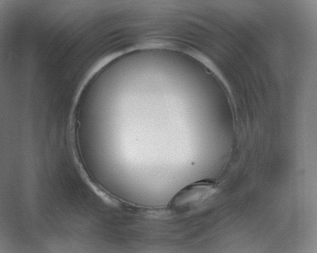 X0000054391053200508121628