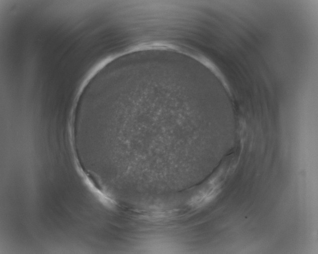 X0000054391054200508121628