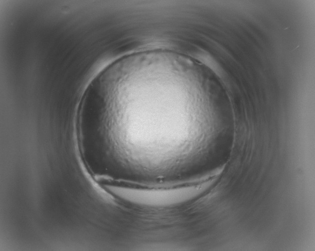 X0000054391055200508121628