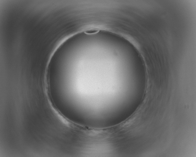 X0000054391056200508121628