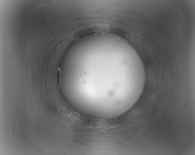 X0000054391057200508121627