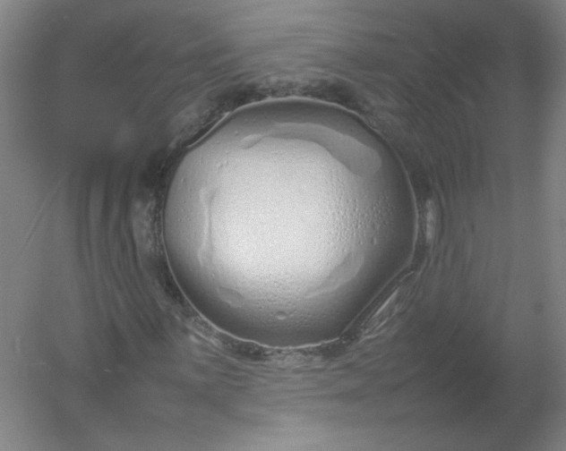 X0000054391059200508121627