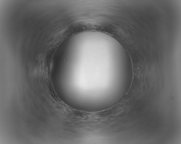 X0000054391061200508121627