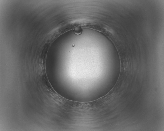 X0000054391062200508121627