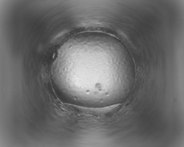 X0000054391063200508121627