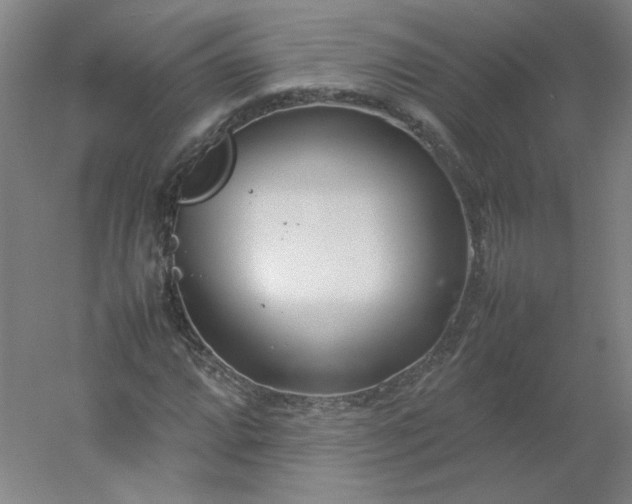 X0000054391064200508121627