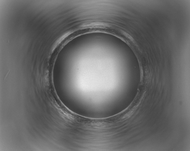 X0000054391066200508121627