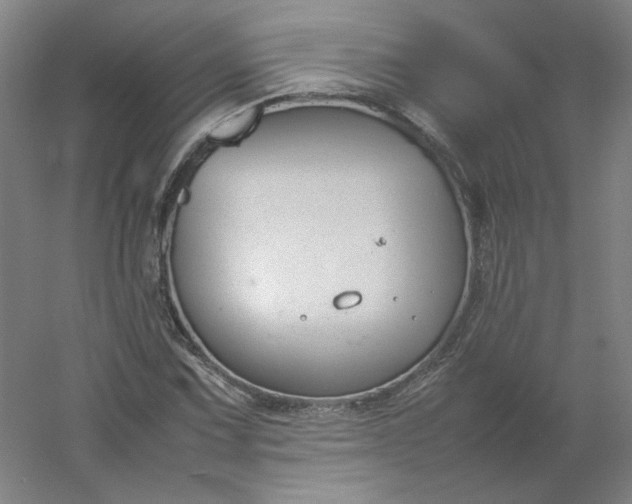 X0000054391067200508121627