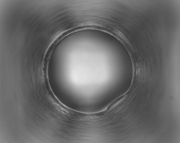 X0000054391068200508121627