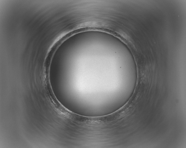 X0000054391070200508121627