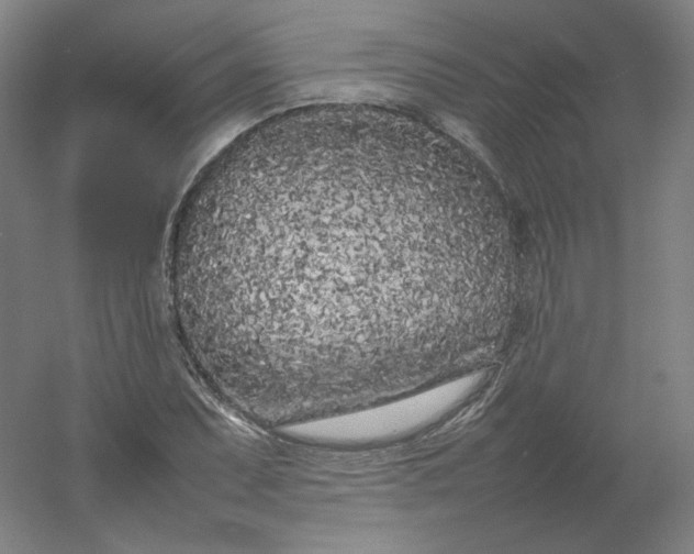 X0000054391071200508121626