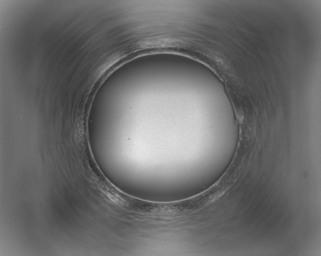 X0000054391073200508121626