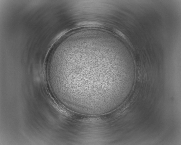 X0000054391074200508121626