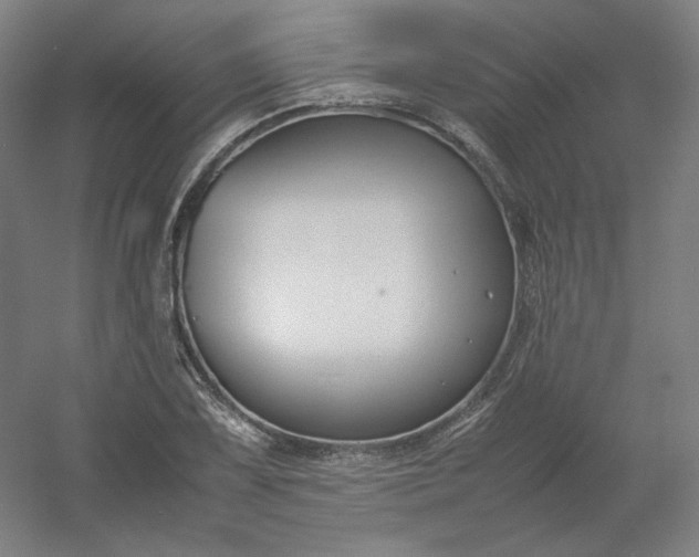 X0000054391075200508121626