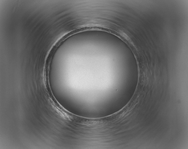 X0000054391076200508121626