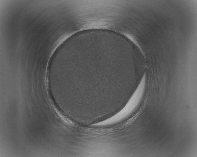 X0000054391077200508121626