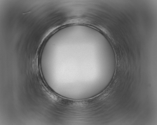 X0000054391078200508121626