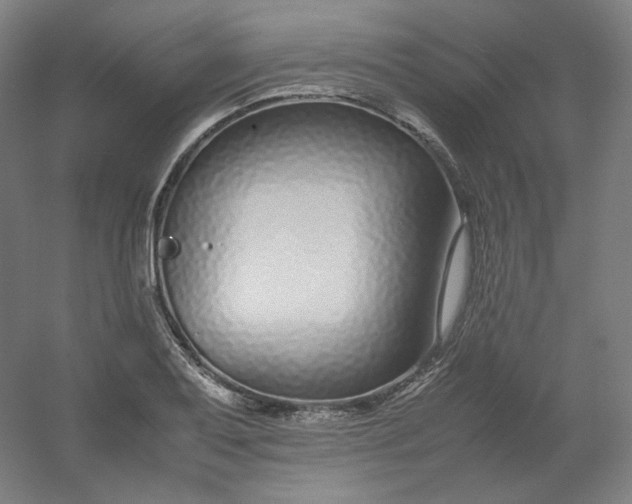 X0000054391079200508121626