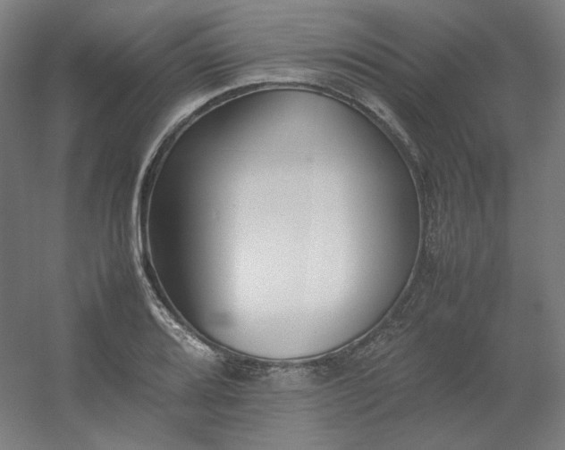 X0000054391080200508121626