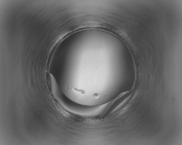 X0000054391081200508121626